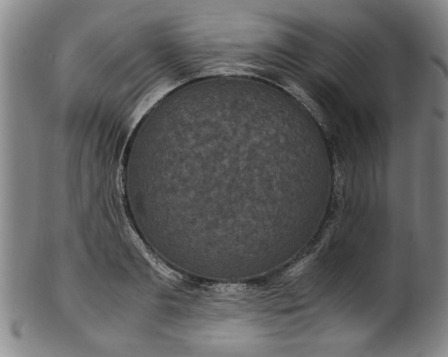 X0000101480893200807211356