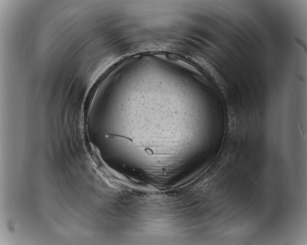 X0000101480894200807211356