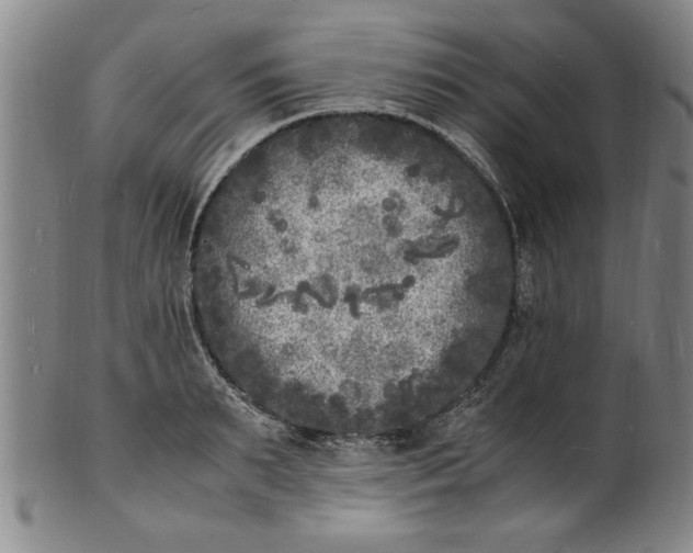 X0000101480895200807211356