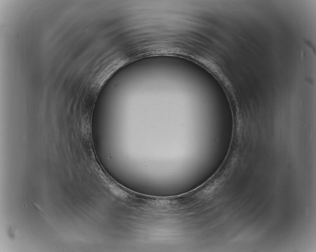 X0000101480897200807211356