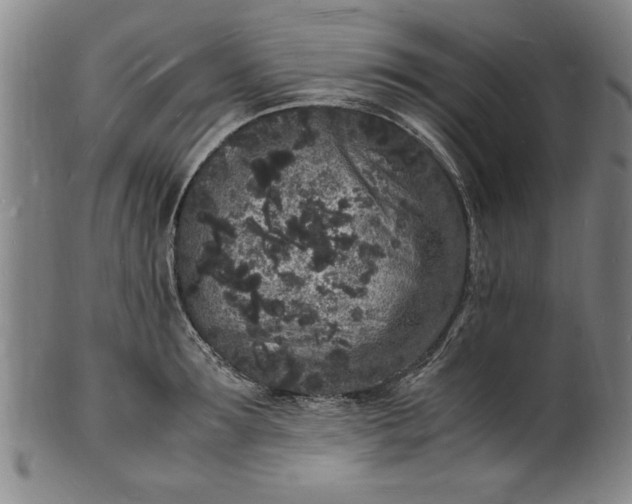 X0000101480899200807211356