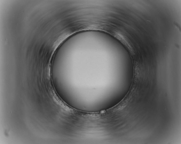 X0000101480900200807211356