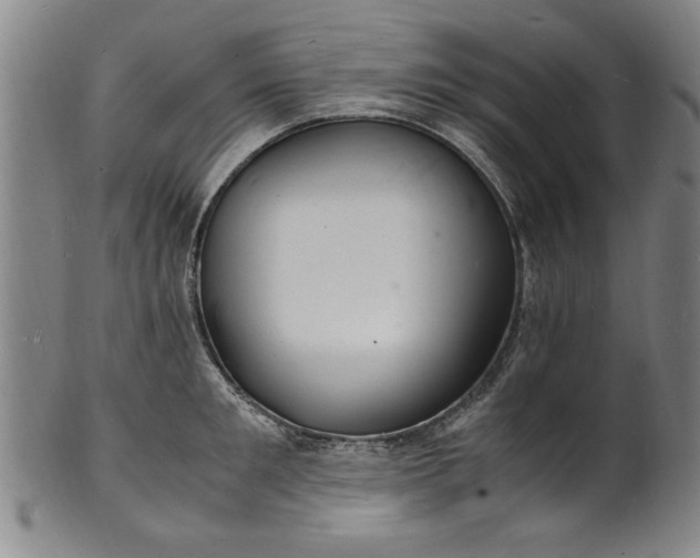 X0000101480901200807211356