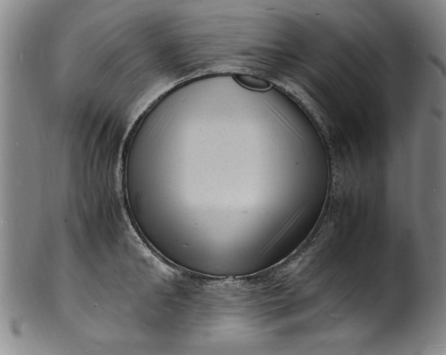 X0000101480902200807211356