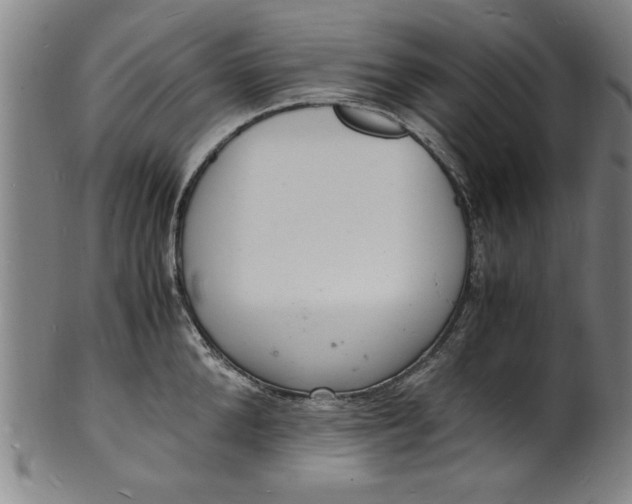 X0000101480904200807211356