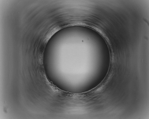 X0000101480905200807211356