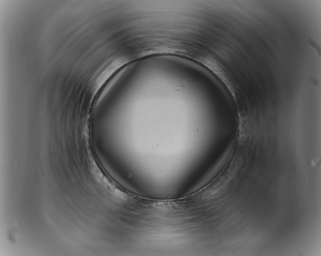 X0000101480906200807211356