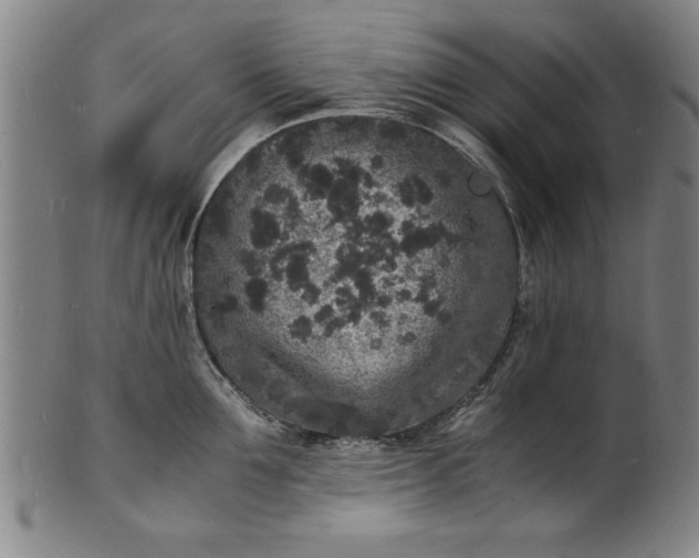 X0000101480907200807211356