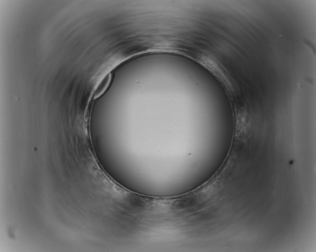 X0000101480908200807211356