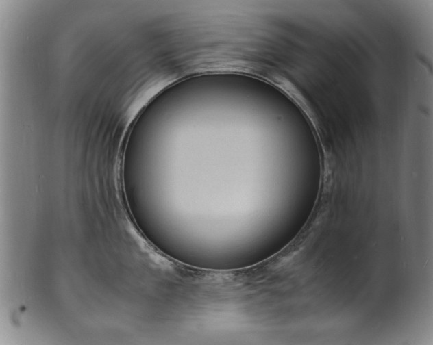 X0000101480909200807211356