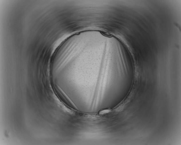 X0000101480910200807211356