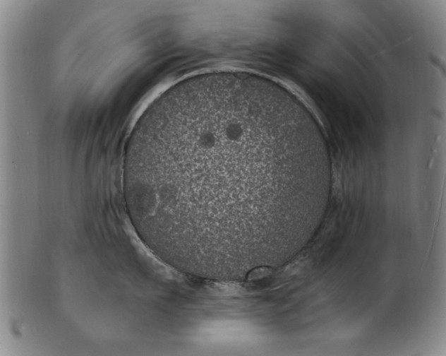 X0000101480911200807211356