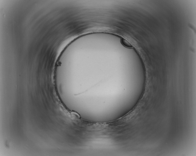 X0000101480912200807211356