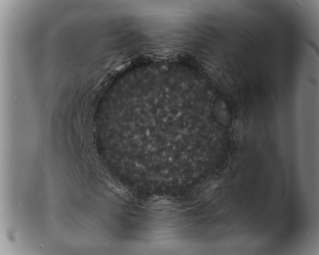 X0000101480913200807211355