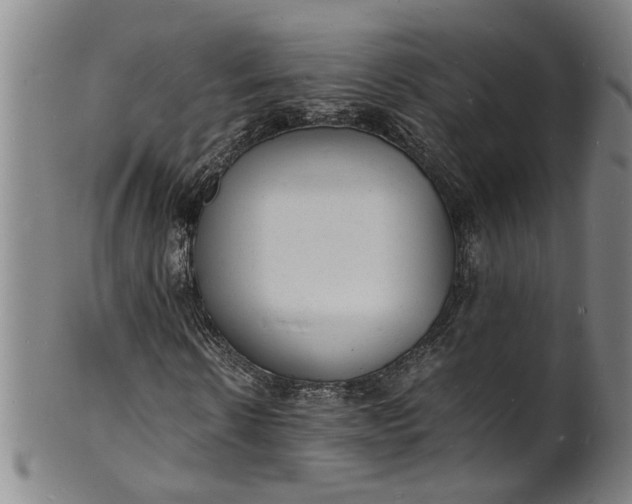 X0000101480914200807211355