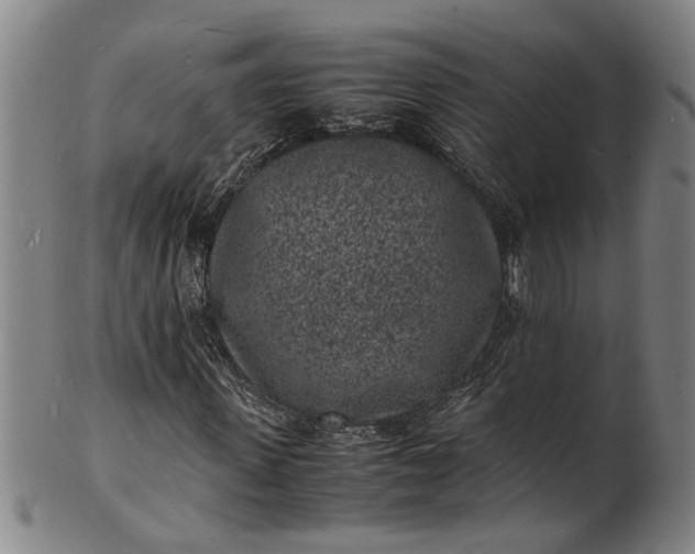 X0000101480915200807211355