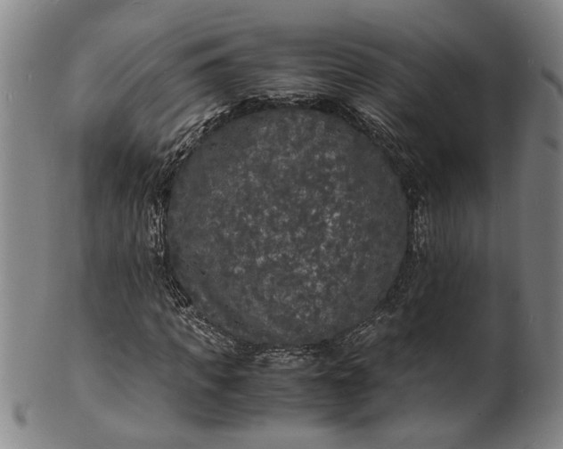 X0000101480917200807211355