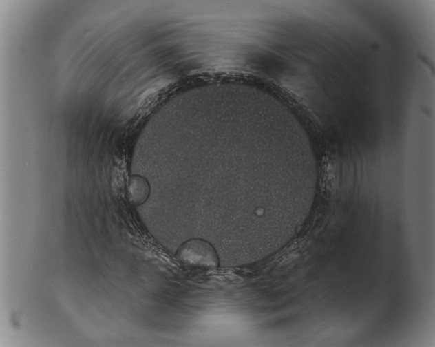 X0000101480918200807211355