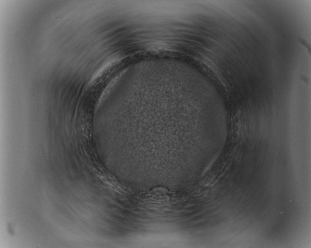 X0000101480919200807211355