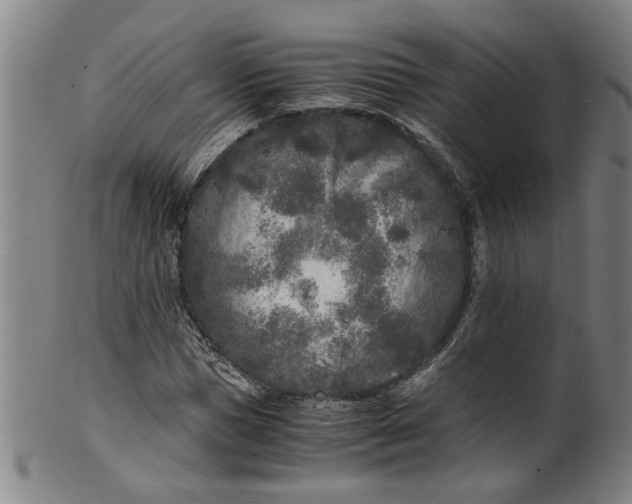 X0000101480921200807211355