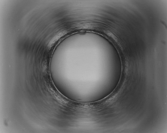 X0000101480922200807211355