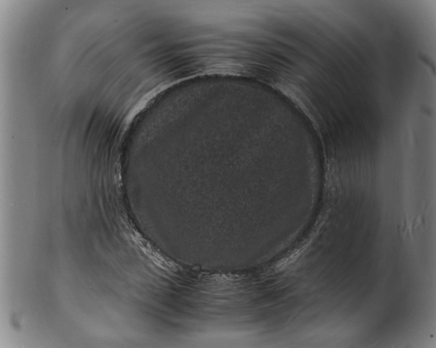 X0000101480923200807211356