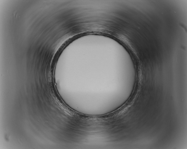 X0000101480924200807211356