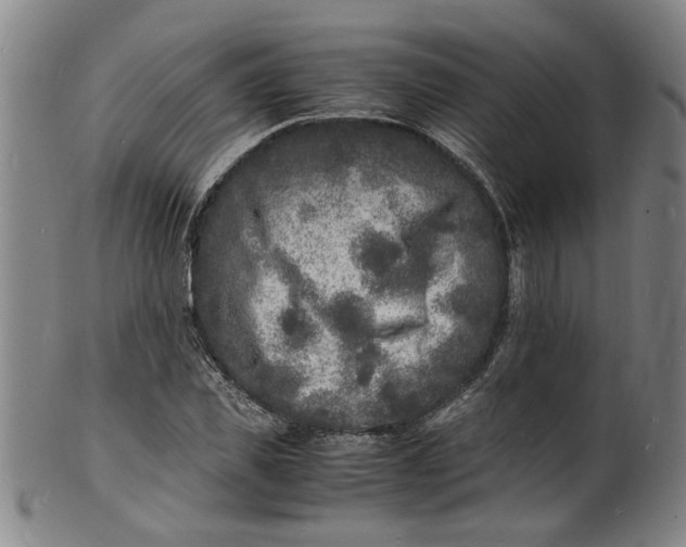 X0000101480925200807211356