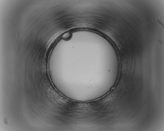 X0000101480927200807211356