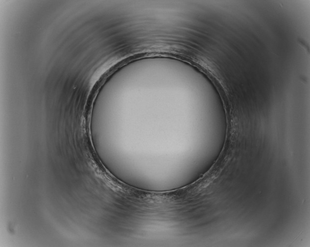 X0000101480928200807211356