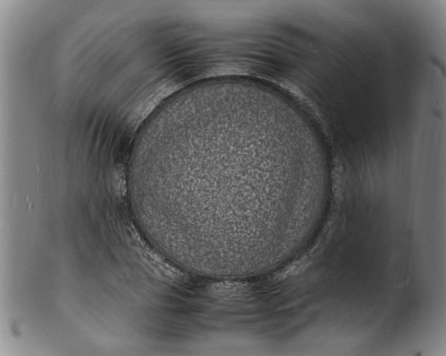 X0000101480929200807211356