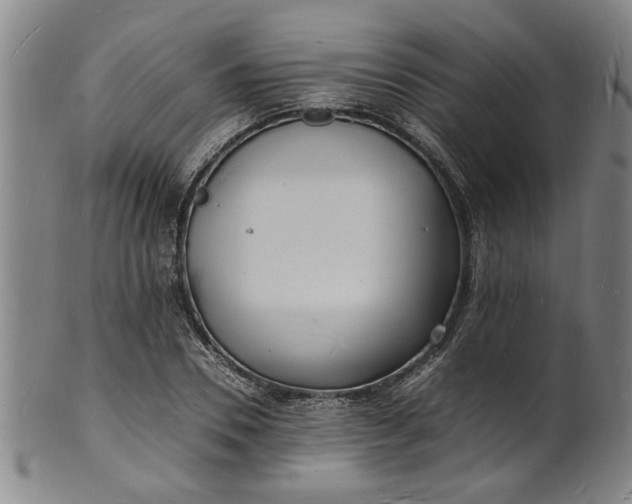 X0000101480930200807211356