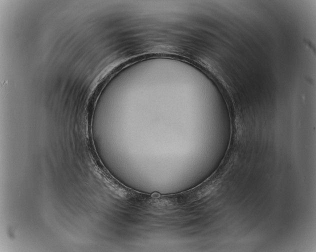 X0000101480931200807211356