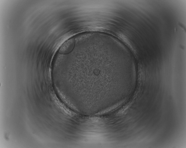 X0000101480932200807211356