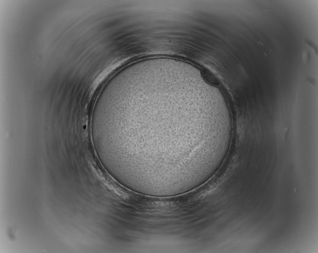 X0000101480933200807211356