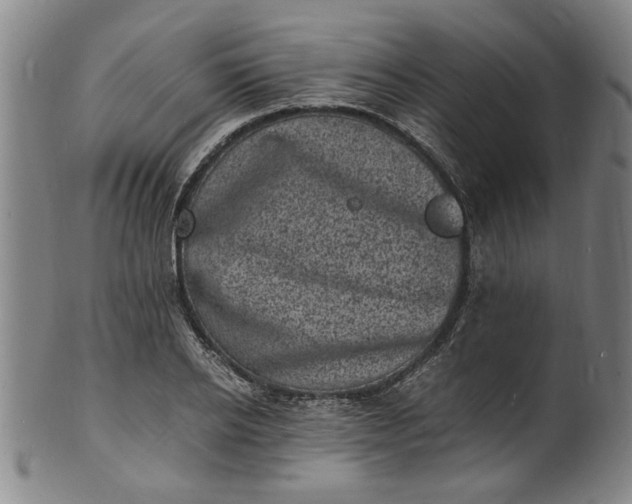 X0000101480934200807211356