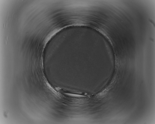 X0000101480935200807211356