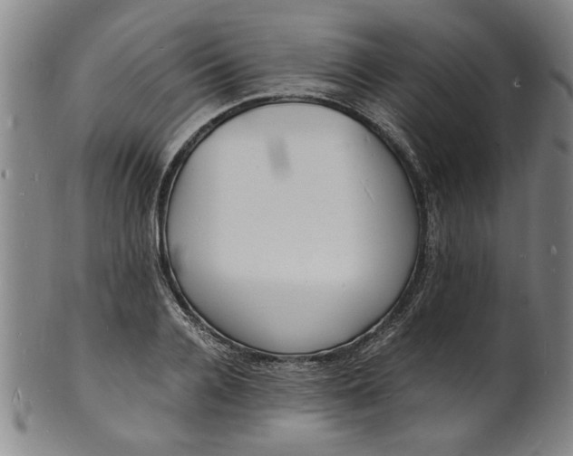 X0000101480936200807211356