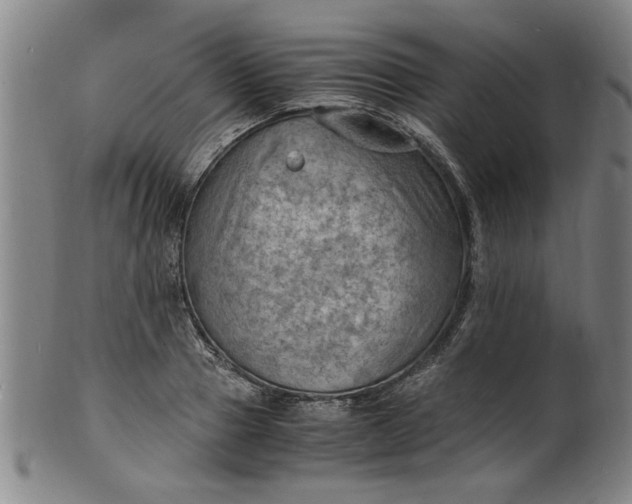 X0000101480937200807211356