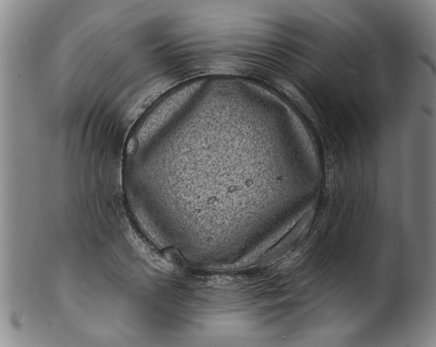 X0000101480938200807211356