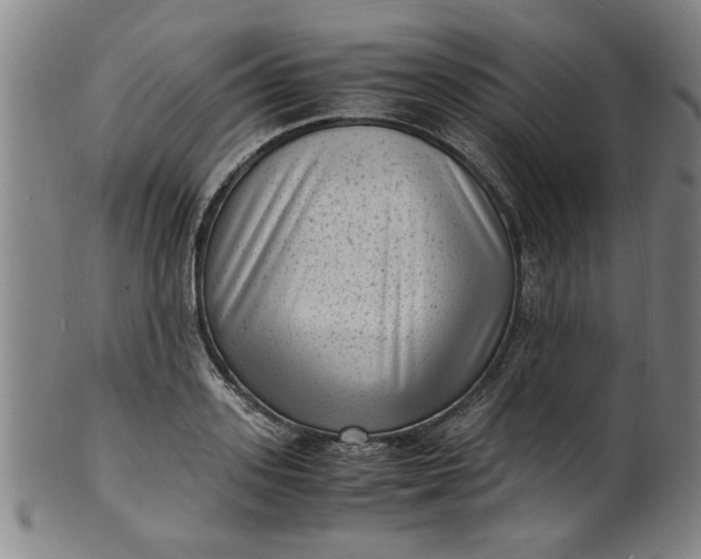 X0000101480939200807211356