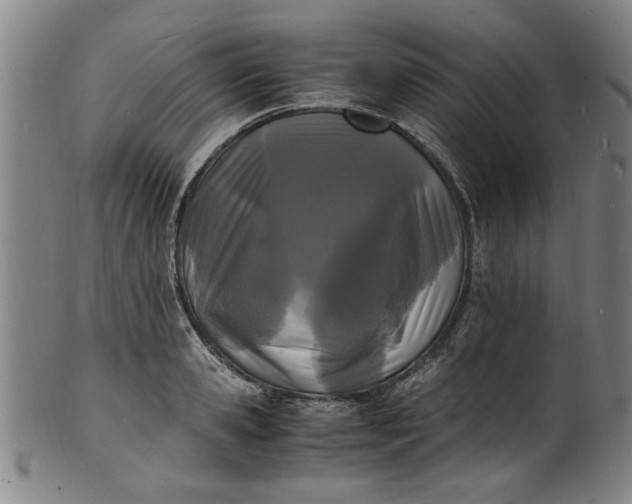 X0000101480941200807211356