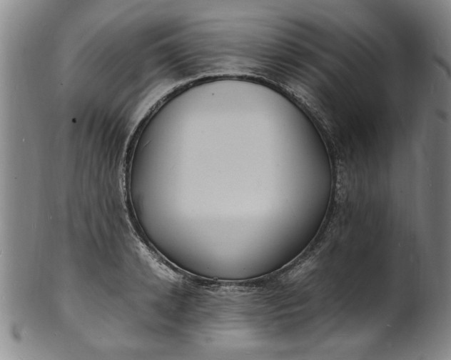 X0000101480942200807211356