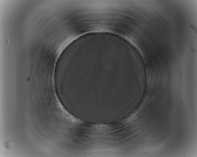 X0000101480943200807211356