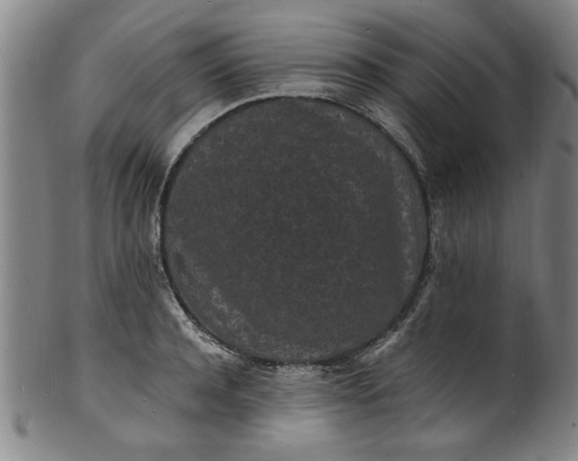 X0000101480944200807211356