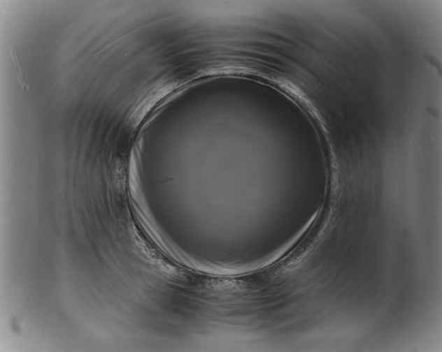 X0000101480945200807211356