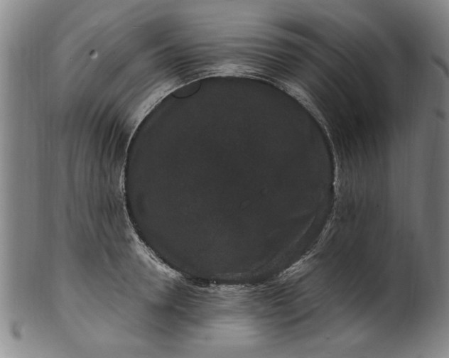 X0000101480946200807211356