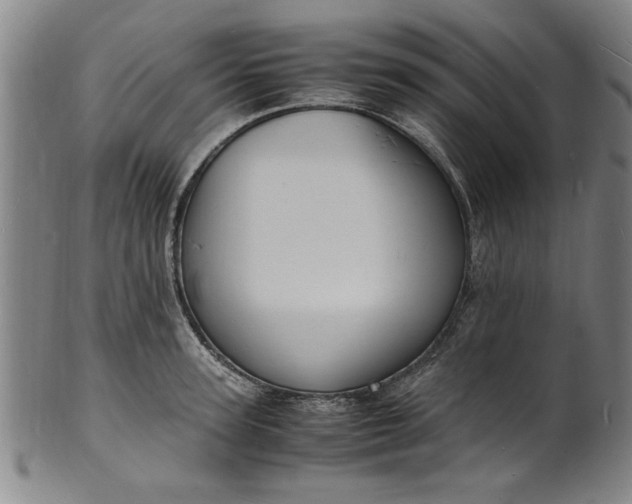 X0000101480947200807211356