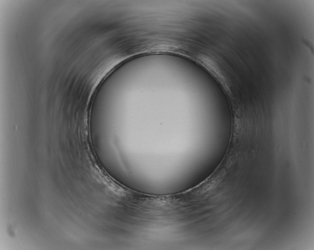 X0000101480948200807211356