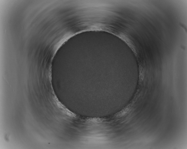 X0000101480950200807211356